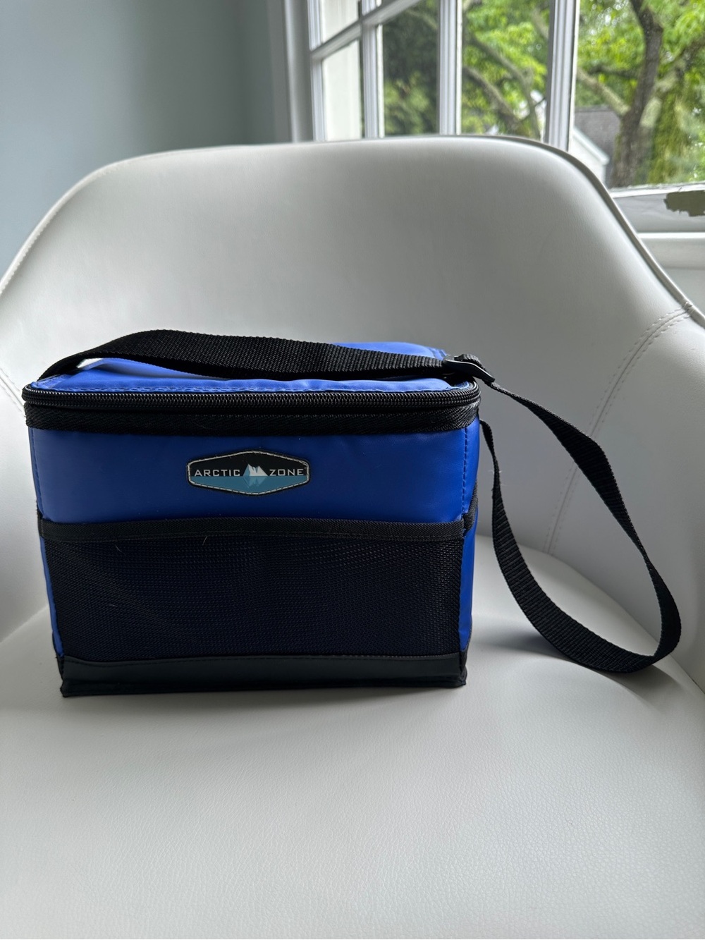 Arctic Zone Blue Structured Cooler Lunch Box